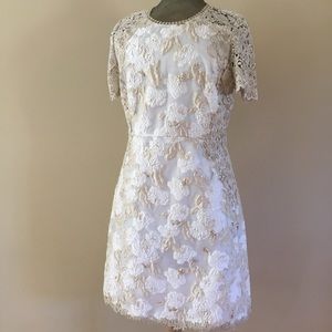 Elie Tahari Women’s Larsa Dress Sz 10 Cream NWT